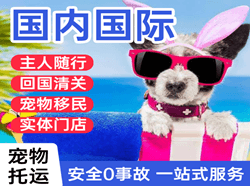 白山机场货运国际宠物托运 【国